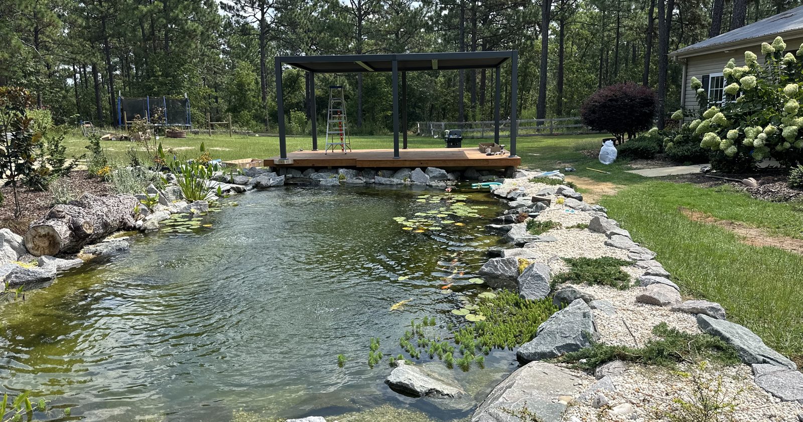Swim pond with a pergola deck on a sunny day