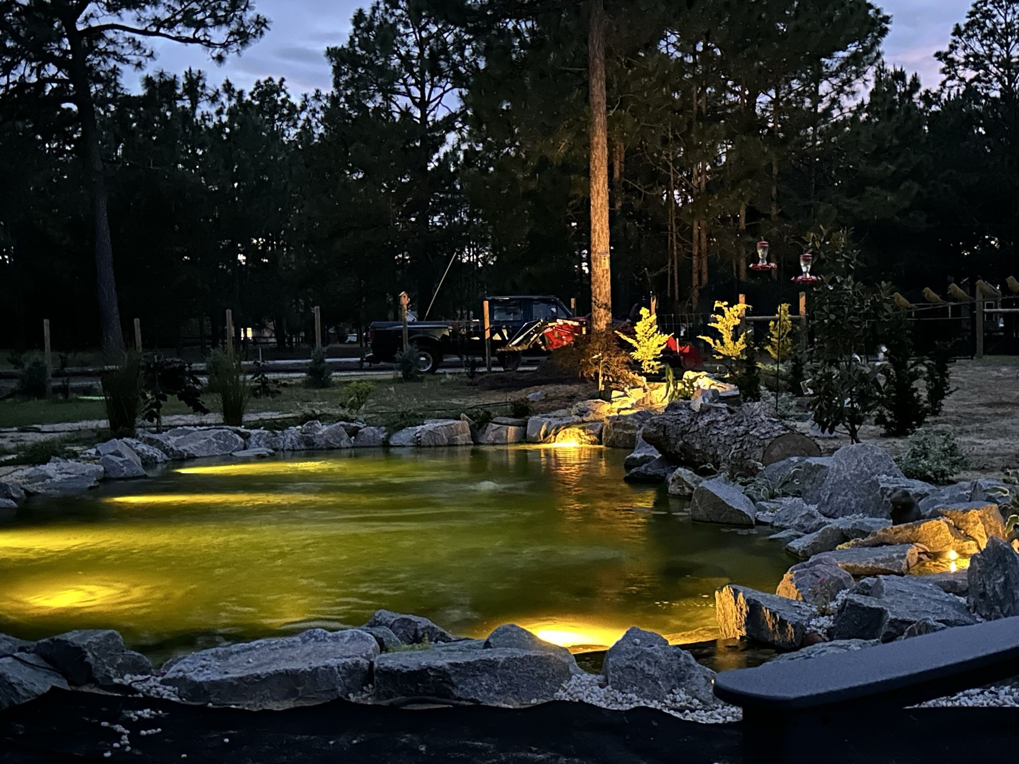 Pond lit amber at night