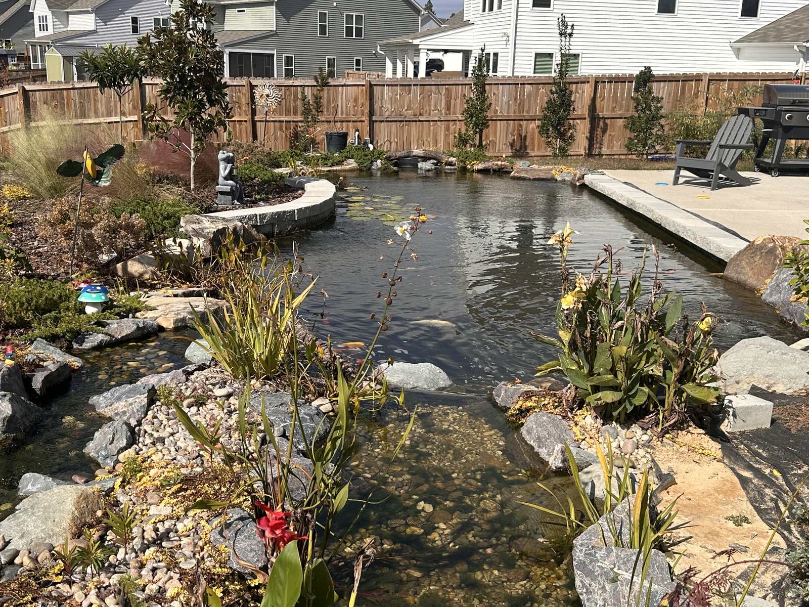 Stone-edged backyard pond beside a patio in Aberdeen, NC